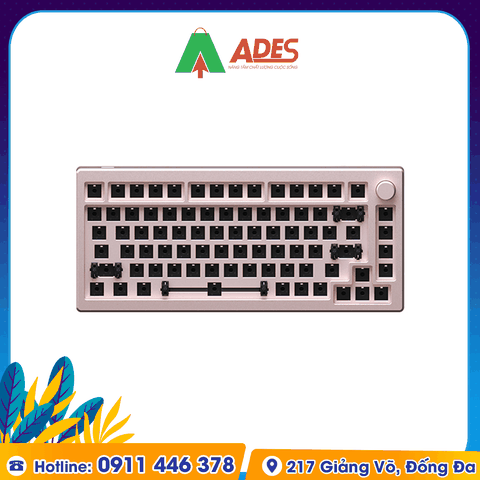 KIT bàn phím cơ AKKO MOD007