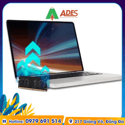 Ram Laptop Lexar 8GB DDR4 2666MHz (LD4AS008G-R2666G)