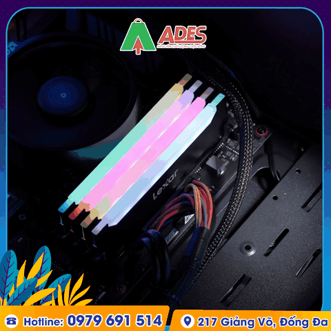 Ram PC Lexar 32GB(2 x 16GB) DDR4 3200MHz (LD4BU016G-R3200GDLH)
