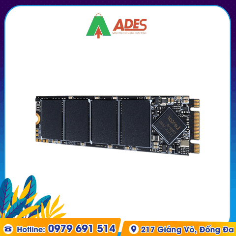Ổ cứng SSD Lexar NM100 128GB M.2 2280 (LNM100-128RB)