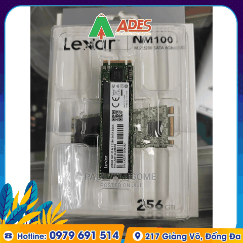 Ổ cứng SSD Lexar NM100 256GB M.2 2280 (LNM100-256RB)