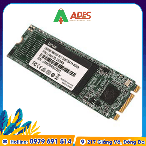 Ổ cứng SSD Lexar NM100 256GB M.2 2280 (LNM100-256RB)