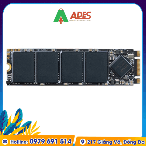 Ổ cứng SSD Lexar NM100 512GB M.2 2280 Sata III (LNM100-512RB)