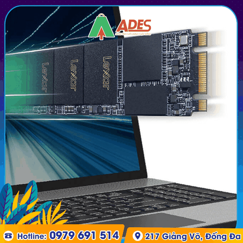Ổ cứng SSD Lexar NM100 512GB M.2 2280 Sata III (LNM100-512RB)