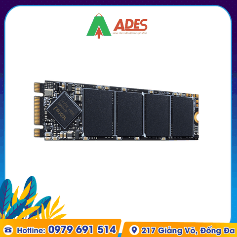 Ổ cứng SSD Lexar NM100 512GB M.2 2280 Sata III (LNM100-512RB)