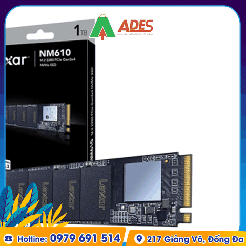 Ổ cứng SSD Lexar NM610 M.2 PCIe Gen3 x4 NVMe 1TB (LNM610-1TRB)