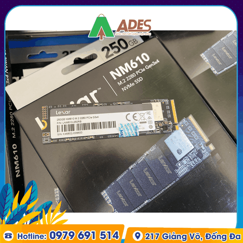 Ổ cứng SSD Lexar NM610 M.2 PCIe Gen3 x4 NVMe 250GB (LNM610-250RB)