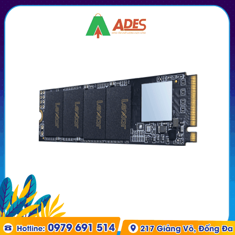 Ổ cứng SSD Lexar NM610 M.2 PCIe Gen3 x4 NVMe 250GB (LNM610-250RB)