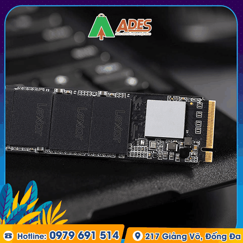Ổ cứng SSD Lexar LNM620 1TB M.2 2280 NVME (LNM620X001T-RNNNG)