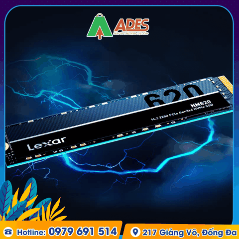 Ổ cứng SSD Lexar LNM620 2TB M.2 2280 NVME (LNM620X002T-RNNNG)