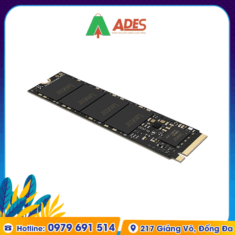 Ổ cứng SSD Lexar LNM620 2TB M.2 2280 NVME (LNM620X002T-RNNNG)