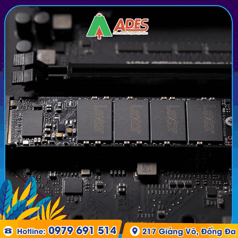 Ổ cứng SSD Lexar LNM620 2TB M.2 2280 NVME (LNM620X002T-RNNNG)
