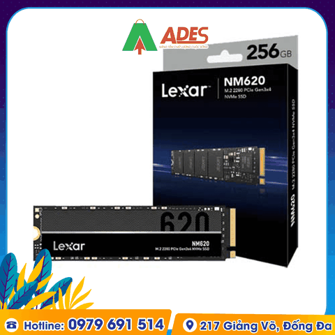 Ổ cứng SSD Lexar NM620 256GB M.2 2280 PCIe 3.0x4 (LNM620X256G-RNNNG)
