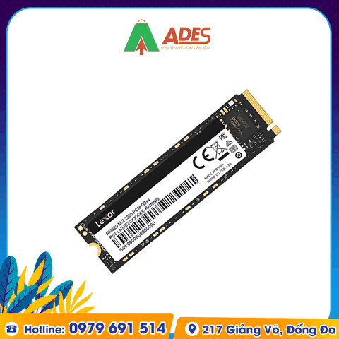 Ổ cứng SSD Lexar NM620 256GB M.2 2280 PCIe 3.0x4 (LNM620X256G-RNNNG)