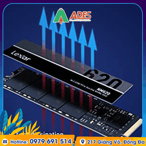 Ổ cứng SSD Lexar LNM620 512G M.2 Nvme PCIe Gen3x4 (LNM620X512G-RNNNG)