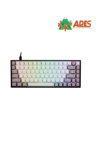 Bàn phím cơ EDRA EK384 Triple Mode 