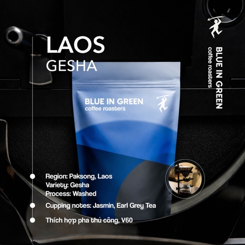 LAOS - GESHA - RANG NHẠT (LIGHT ROAST)
