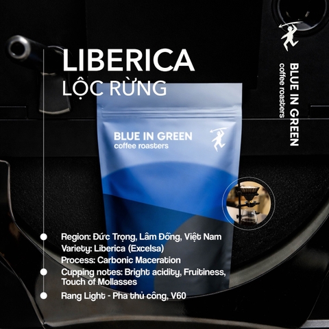 Cà phê rang Việt Nam - Liberica Lộc Rừng - Rang Nhạt (Light Roast) - Blue in Green Coffee Roasters