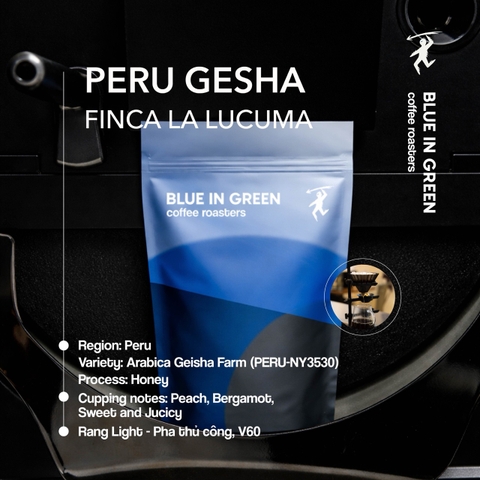 Cà phê rang Peru Gesha Finca La Lucuma Honey - Rang Nhạt (Light Roast) - Blue in Green Coffee Roasters