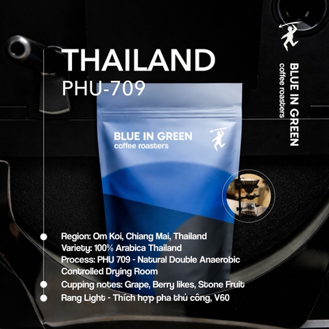 Cà phê rang Thailand PHU-709 - Rang Nhạt (Light Roast) - Blue in Green Coffee Roasters