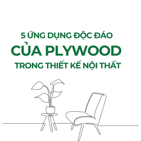 5 ỨNG DỤNG VÁN PLYWOOD BMH PANEL TRONG NỘI THẤT CÔNG THÁI HỌC