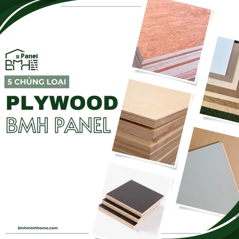 5 CHỦNG LOẠI PLYWOOD TẠI BMH PANEL