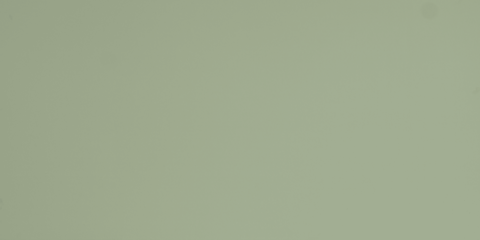 BMH LKS06T - XANH RÊU NHẠT (OLIVE LEAF)