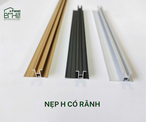 NẸP H RÃNH