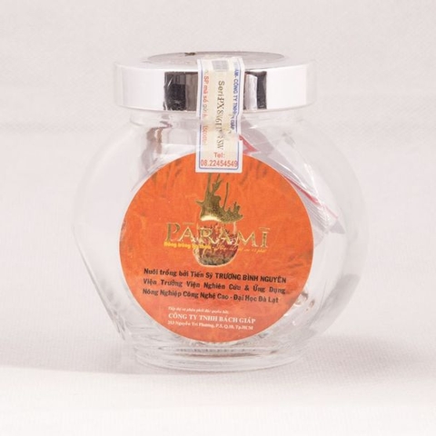 Đông Trùng Hạ Thảo Sấy Khô PARAMI 10g