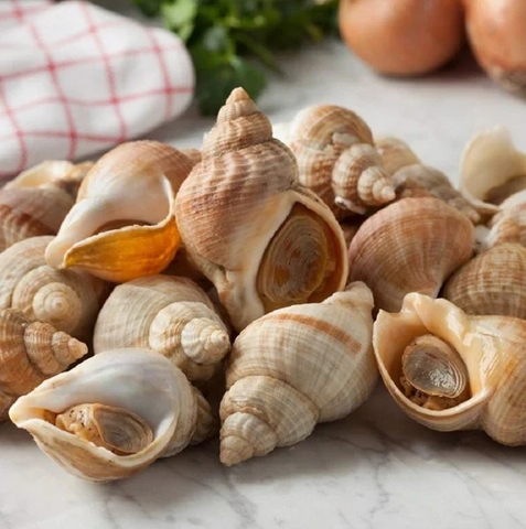 Ốc Bulot Pháp (kg)