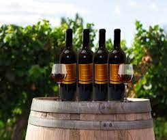 Rượu vang Sagrantino Di Montefalco, 14,5% vol, 75cl