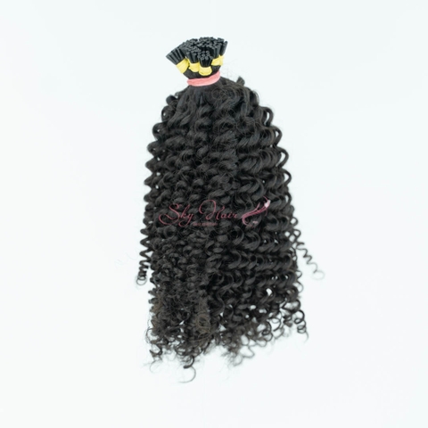 Kinky Coily I-tip - Natural Color