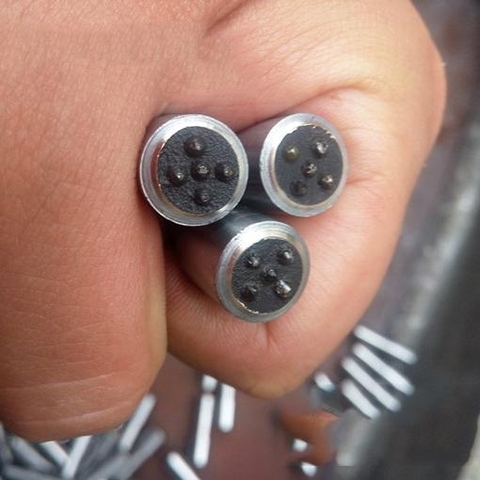 Cây Sửa Đá Mài Đầu 5 Hạt