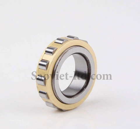 Vòng Bi Lệch Tâm NSK RN207
