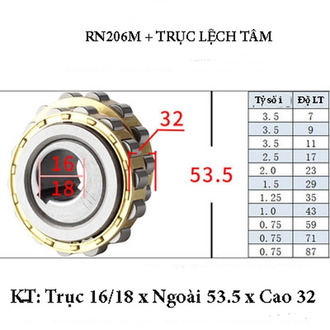 Vòng Bi Lệch Tâm RN206
