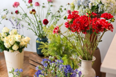 Cách chăm sóc hoa - Tiệm hoa Ngõ Nhỏ