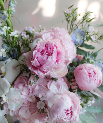 Bình Hoa Mẫu Đơn - Peony 264