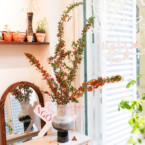 (Hoa Lẻ) Cành Hồng Gai Cam Nhập Khẩu