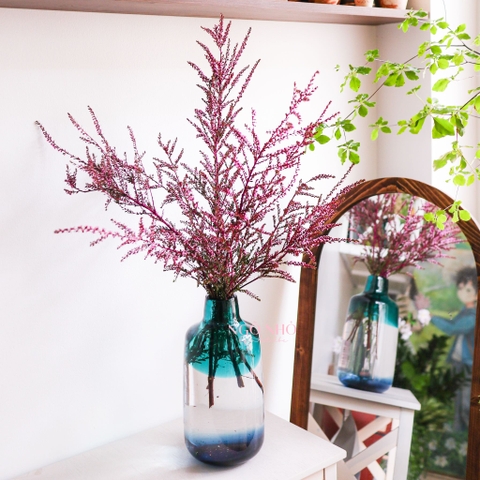 (Hoa Lẻ) Hoa Thanh Mai Hồng/Trắng Nhập Khẩu