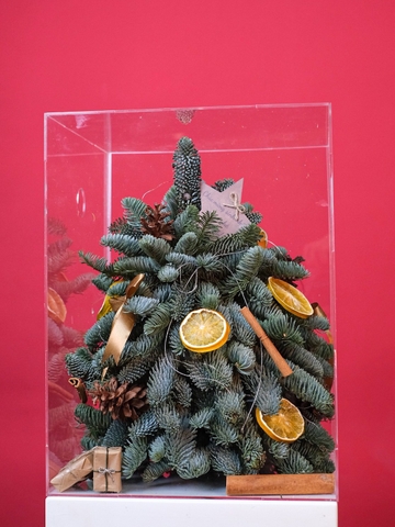 Hộp Thông Nhập Khẩu - Xmas Mica