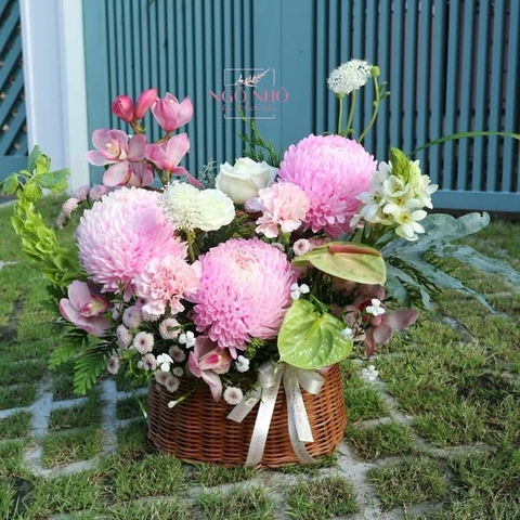 Giỏ hoa cúc mẫu đơn hồng nhạt mix địa lan hồng