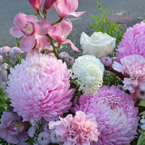Giỏ hoa cúc mẫu đơn hồng nhạt mix địa lan hồng