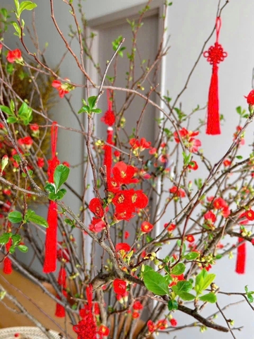 Đào đỏ Akane Boke (Nhật Bản)