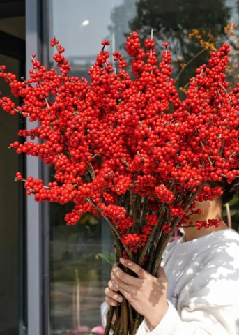 (Hoa lẻ) Đào đông đỏ (Côn Minh)