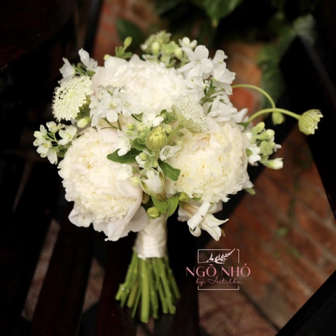 Bó hoa cưới mẫu đơn/peony Miraika NB mix sao trắng, tiểu delphinium