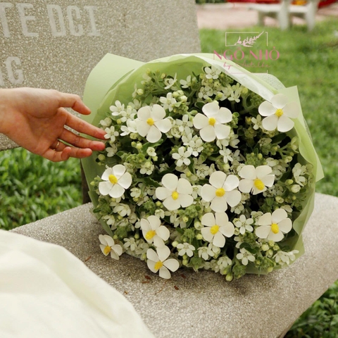 Bó hoa sao trắng mix hoa bướm gỗ