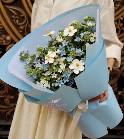 Bó hoa sao xanh, sao trắng mix hoa bướm gỗ