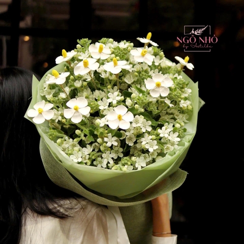 Bó hoa sao trắng mix hoa bướm gỗ