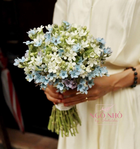 Bó hoa cưới sao xanh mix sao trắng