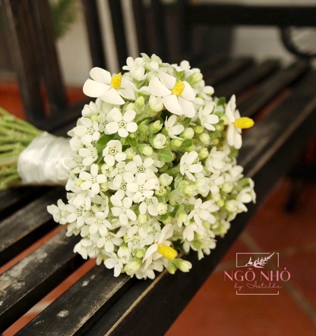 Bó hoa cưới sao trắng mix hoa bướm gỗ